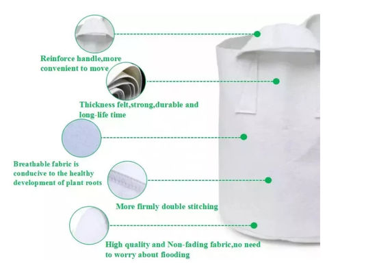 Фабрика производит оптовую аграрную красоту засаживая сумку охрана окружающей среды сумки культивирования ухудшает