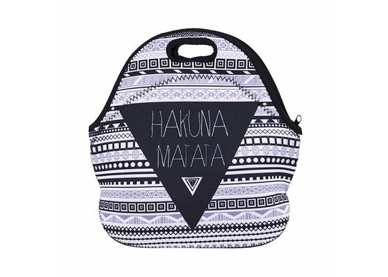 Большие изолированные более крутые сумки тоте, милый обед кладут в мешки для взрослых